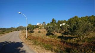 Residential Plot in Cami vell de reus 101. Terreno urbano consolidado vilanova d´escornalbou