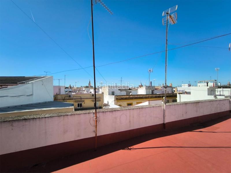 Foto b6b57750-6573-41b6-a117-f312f13133ca. Affitto appartamento in avenida de menéndez pelayo 6 in Sevilla