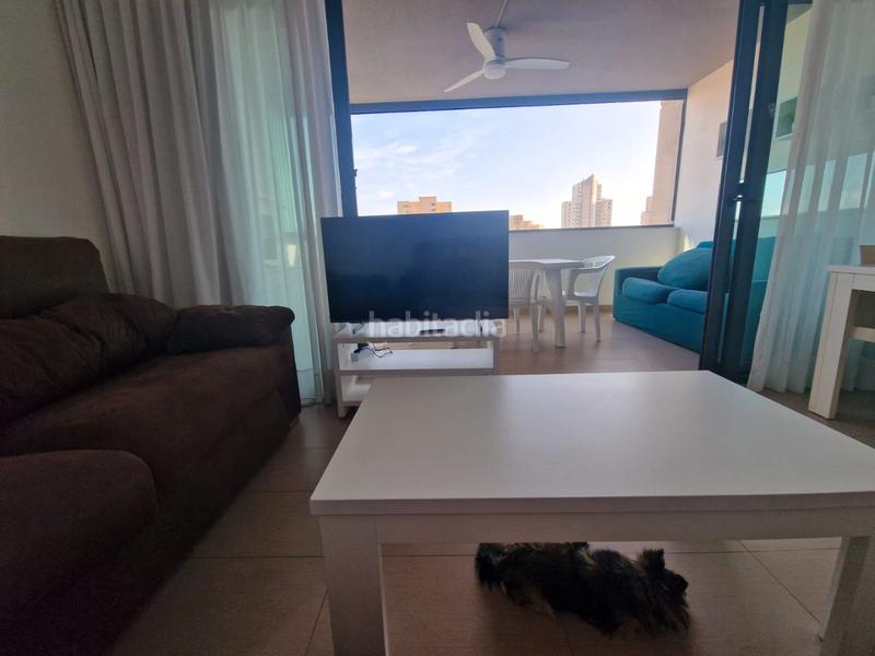 Foto 0b9a762a-e832-4780-a9f1-dcd84efc7a23. Alquiler apartamento en calle lérida 4 levante en Benidorm