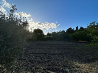 Finca rústica a Calle maria uceda diaz 5. Ecohuerto en cenes