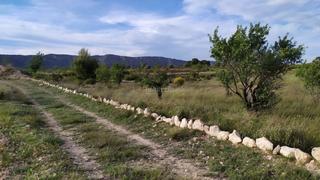 Finca rústica a Partida canyades d'en cirus 22. Terreno de 12.000 m2 en monovar ideal para chalet
