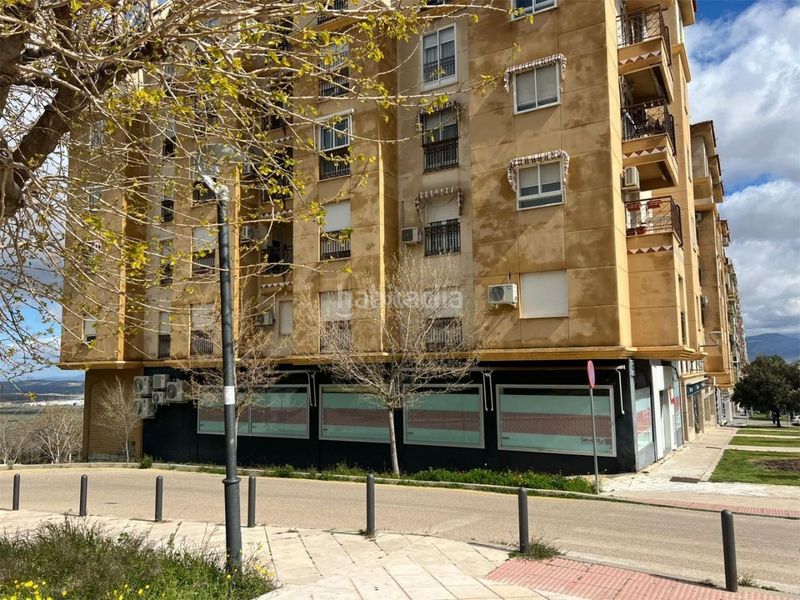 Foto 13fede8a-5bef-4063-8e61-80b93ca0c1c4. Alquiler oficina en calle fuente de la mimbre 104 Valdeastillas - Fuentezuelas / avenida de andalucí en Jaén