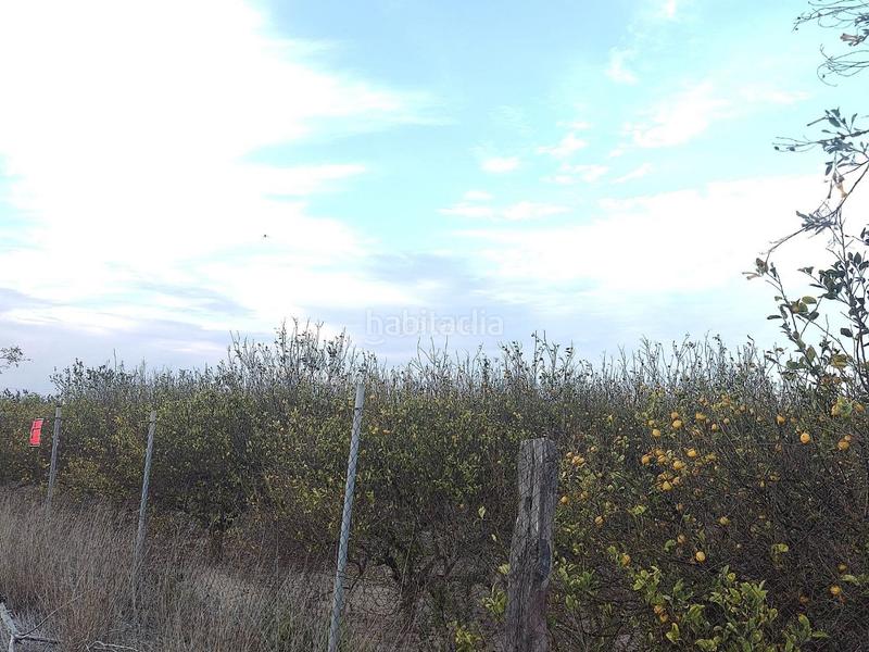 Foto 071bb75a-dbe7-4ed2-8d89-15647e7f7b06. Finca rústica a avenida de la estación 2 a Algorfa