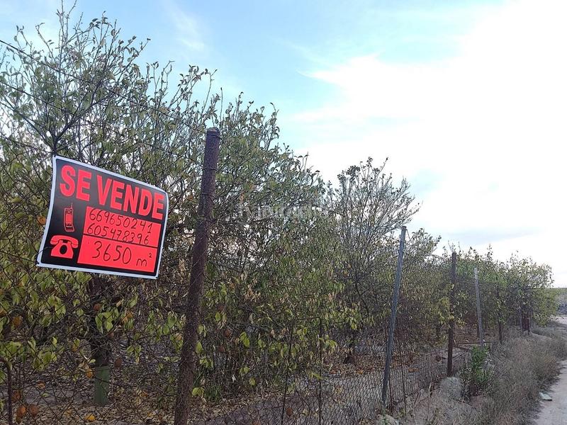 Foto 31866a76-00e2-46e5-9ac9-32c91a32e8b4. Finca rústica a avenida de la estación 2 a Algorfa