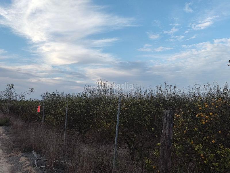 Foto 756727ec-f3dd-4707-9f3c-9e78fb4ec6a1. Finca rústica a avenida de la estación 2 a Algorfa