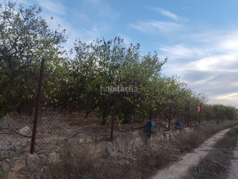 Foto a4318614-c0e6-45c6-921d-72be4c656081. Finca rústica a avenida de la estación 2 a Algorfa