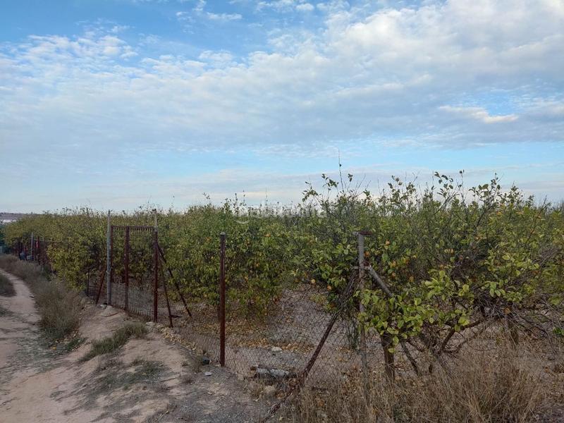 Foto bd30386c-5cf6-44a9-bf01-dbd9fa9b2ad1. Finca rústica a avenida de la estación 2 a Algorfa