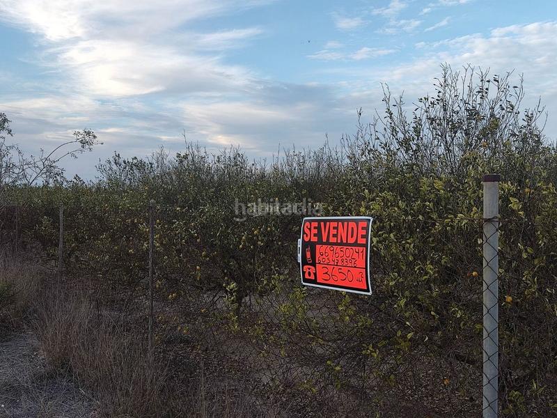 Foto d4978a80-b58c-401e-9a9f-676ae5ae3ff7. Finca rústica a avenida de la estación 2 a Algorfa