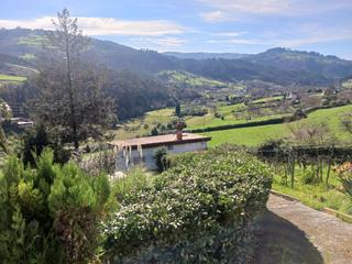 Xalet a Camino cortado 281. Casita con encanto