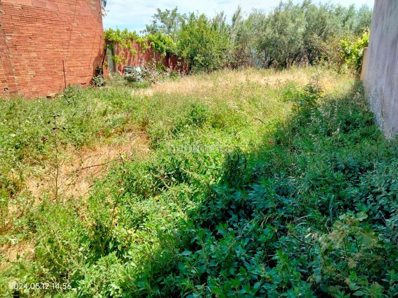 Foto c08dd554-e243-4bbe-a7ff-6217f49e0dad. Terreny residencial a carrer jaume i 14 a Torroella de Montgrí