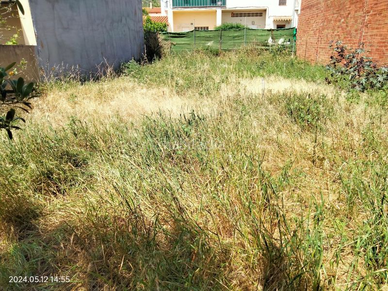 Foto d644b79f-073d-48af-9251-1063c9f5bc1c. Terreny residencial a carrer jaume i 14 a Torroella de Montgrí