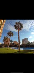 Lloguer Apartament a Avenida oviedo 8. Unica