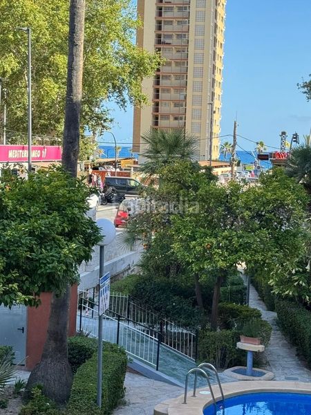 Foto 75c47438-edc5-43d8-8262-4c37a0eb1d56. Pis a avenida de murcia 7 a Playa Levante Benidorm