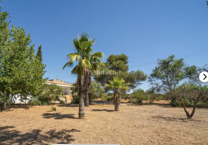 Foto 454834f7-9e65-4cf4-9260-cf05e2ef0d8a. Alquiler casa en calle camino de los palacios 23 Oromana / calle camino de los palacios en Alcalá de Guadaira