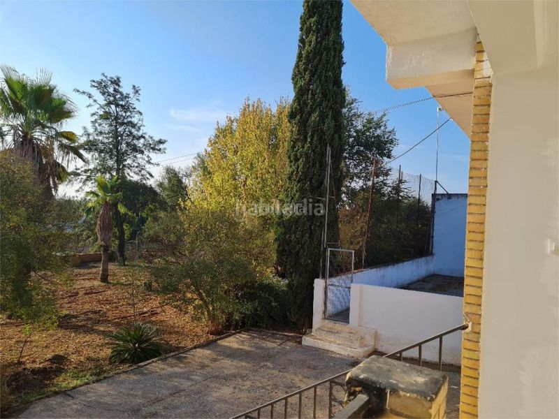 Foto c477cb60-292f-449d-8526-7f9afd12db29. Alquiler casa en calle camino de los palacios 23 Oromana / calle camino de los palacios en Alcalá de Guadaira