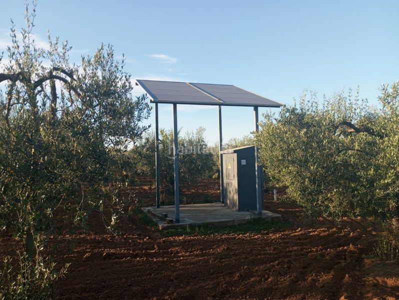 Foto 1b781349-3b4b-461f-a6e4-46e28a6f7f3c. Finca rústica a calle 4 del sector c-5 47 a Colegio Europa Espartinas