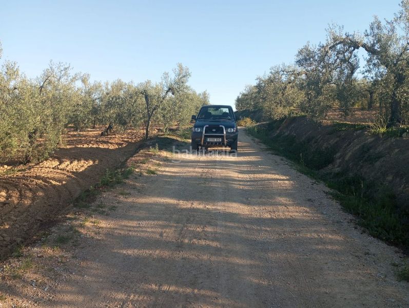 Foto de9117b0-d8a1-482c-8e4f-8ff91f23478a. Finca rústica a calle 4 del sector c-5 47 a Colegio Europa Espartinas