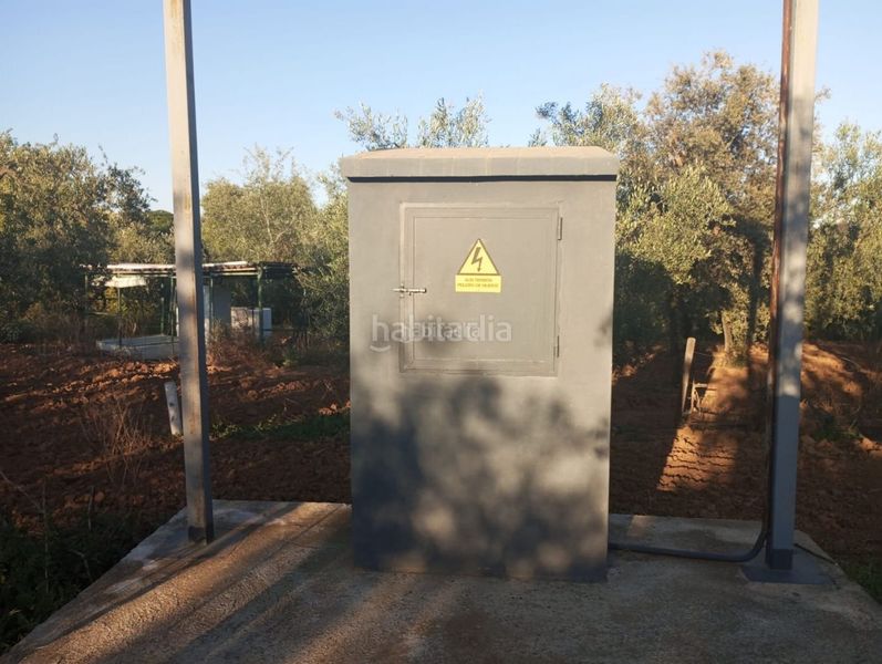 Foto e3746423-3b95-4ceb-87c0-d091c822a7a5. Finca rústica a calle 4 del sector c-5 47 a Colegio Europa Espartinas