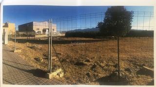 Terreny residencial a Avinguda d'alzira 52. Solar urbano todos los servicios ya existentes