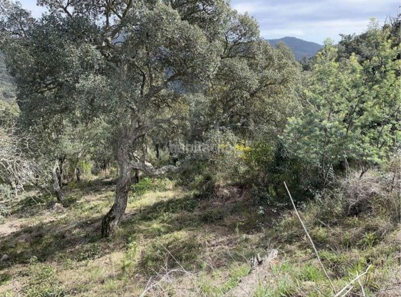 Foto 19f08e50-2d30-4b1f-a3c2-2e0d3242a3b1. Residential plot in carrer penya de les cols 67 in Llagostera