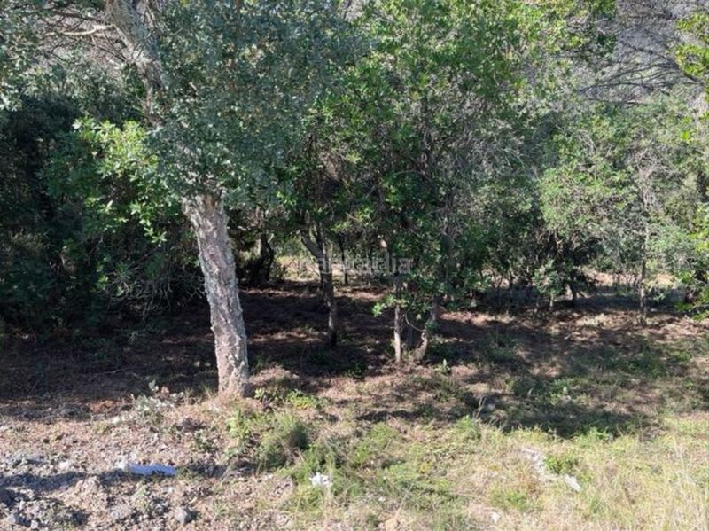 Foto 8ab9d316-dfd1-4476-8619-a98079e55c93. Residential plot in carrer penya de les cols 67 in Llagostera
