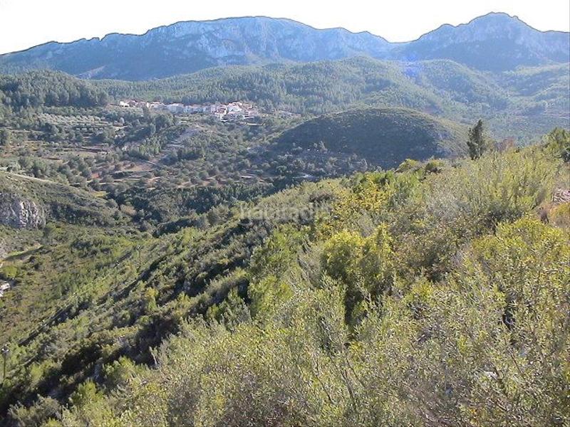 Foto 8ec1ad05-203a-4e5f-84fa-86c8dedcbe7b. Finca rústica a parecla 28 a Centre Reus