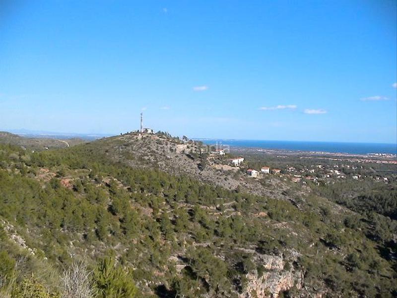 Foto ad5f5e22-0196-4ad6-9a82-c8345f4c2b94. Finca rústica a parecla 28 a Centre Reus