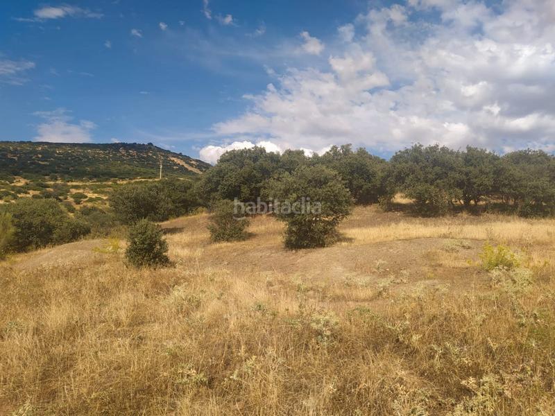 Foto a4277278-269e-42fb-83bf-9ac4330c650c. Finca rústica a cm-4111 49 a Calzada de Calatrava