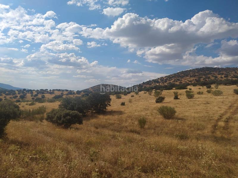 Foto be8bdb27-bb2e-4ba4-a5e2-40dd68954dc3. Finca rústica a cm-4111 49 a Calzada de Calatrava