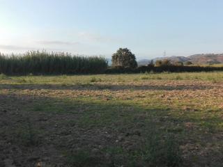 Finca rústica a Paratge vilaüt s/n. Terreny rústic a l’alt empordà