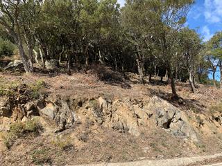 Finca rústica a Carretera de les mines 18. Terreno rústico a 400 m a pie del centro de la vajol