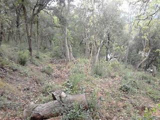 Terrain résidentiel à Avinguda montnegre 67. Terreno de 1.200 mts