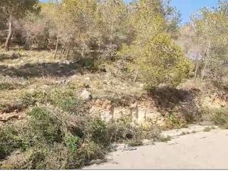 Terrain résidentiel à Avenida de los rosales 21. Terreno urbano en cubelles
