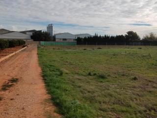 Finca rústica a Avinguda torrent 10. Terreno rustico alcasser