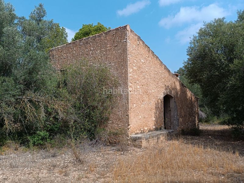 Foto 45f26d00-e993-4f52-97a5-e21da58ecc18. Finca rústica a carrer de sant llorenç 3 a Jesús - Els Reguers Tortosa