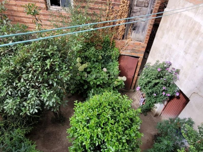 Foto a48a429c-5867-4bb3-a4f8-975faa57cfcd. Pis a bufalapluma 12 a Bañeza (La)
