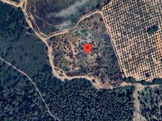 Finca rústica a Calle reyes catolicos 16. Venta de finca para explotación agrícola y uso en peregrinacione