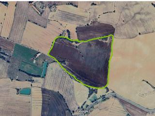 Finca rústica a Partida zaraballa 26. Mitad indivisa se vende la mitad de esta finca 10,25 hectareas