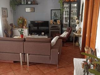 Xalet a Calle mestral 44. Para familias con niños y animales