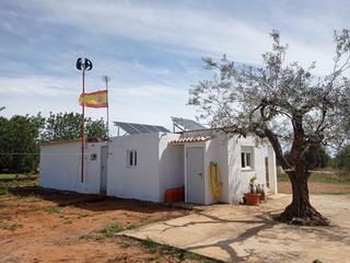 Mas à Avinguda de la llibertat 1. Finca rustica con caseta homologada y almendros, olivos y naranj