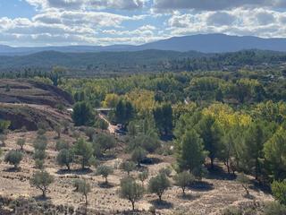 Finca rústica a Diseminado p003 357. Terreno / olivar  a 750 m de alborache