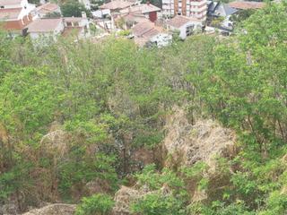 Residential Plot in Santa magdalena 1-3. Solar ubicado en el centro de corbera de llobregat
