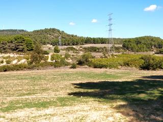 Rural plot in Cami l'estacio 2. Vendo finca rústica, de labor o labradío
