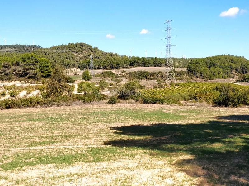 Foto 380df2c0-b544-4474-914b-a58fe9b9e9f3. Finca rústica en cami l'estacio 2 vendo finca rústica, de labor o labradío en Vimbodí