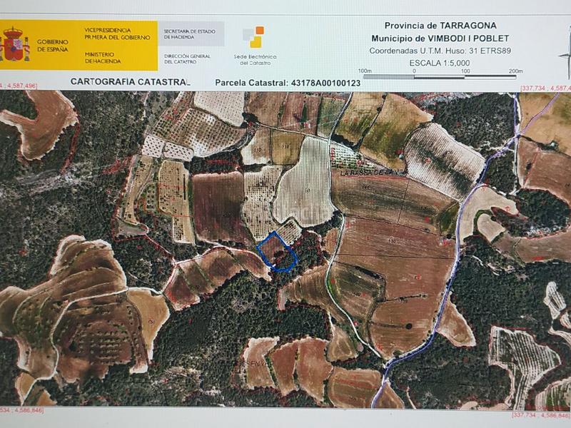 Foto 51fc486d-3930-45b1-bd19-4777eb4d4de4. Finca rústica en cami l'estacio 2 vendo finca rústica, de labor o labradío en Vimbodí