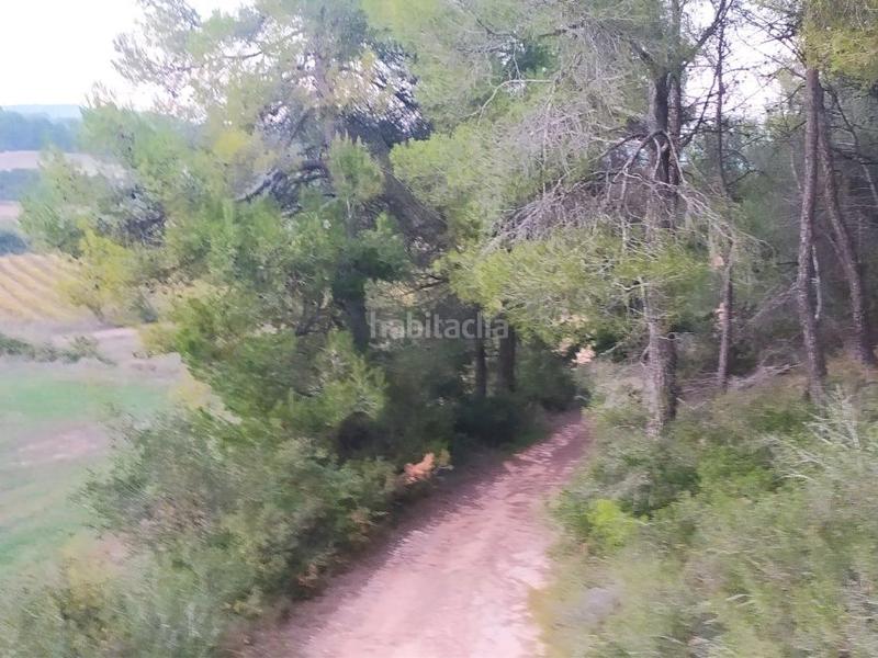 Foto 5321aeae-27f6-4217-8bcd-093c10ab786e. Finca rústica en cami l'estacio 2 vendo finca rústica, de labor o labradío en Vimbodí