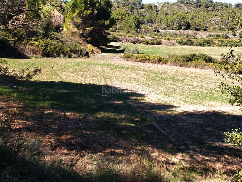 Foto 56362af5-74d3-415e-8c41-27cbf43eb5ef. Finca rústica en cami l'estacio 2 vendo finca rústica, de labor o labradío en Vimbodí