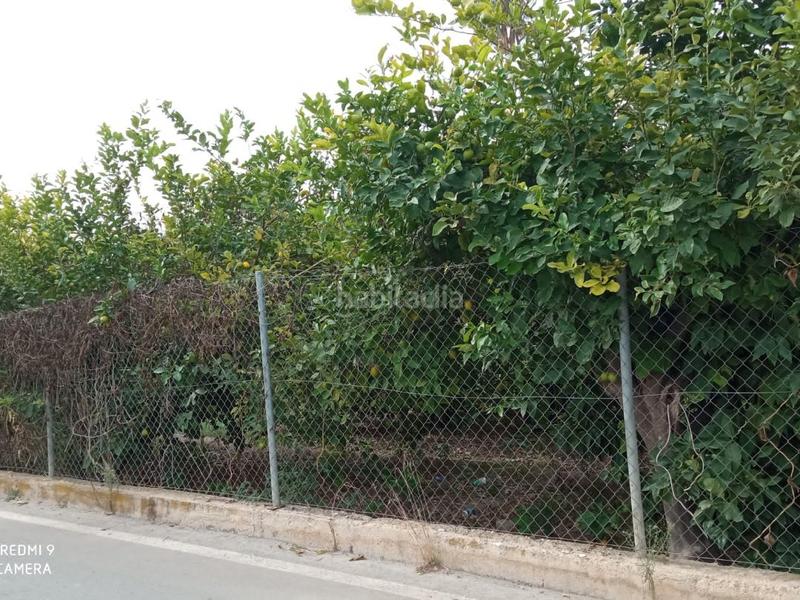 Foto 76c14b6d-c050-4273-bbc7-4db25bf379a7. Terreny residencial a camino de los silvestres 18 a Murcia