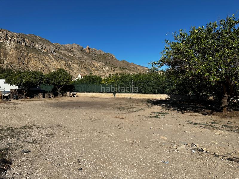 Foto 4a68c6e4-64e0-43ad-a9c9-41c1032bf988. Finca rústica en avenida reyes de españa 41 campo en Ulea