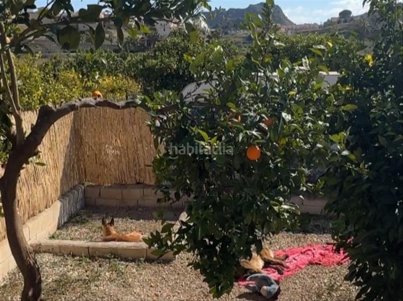 Finca rústica a Avenida reyes de españa 41. Campo en ulea